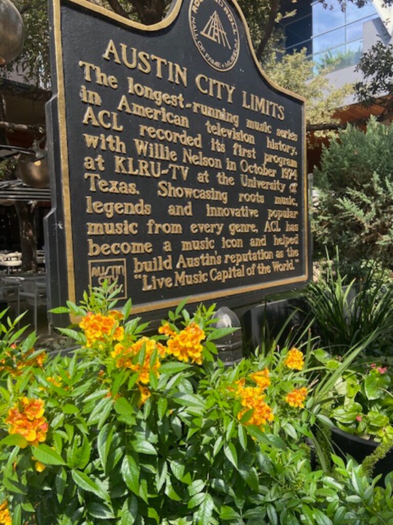 ACL 768x1024