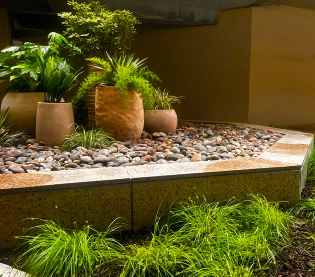 BP Planters 1024x899