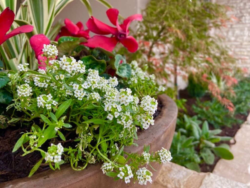 Planter Detail 1024x768