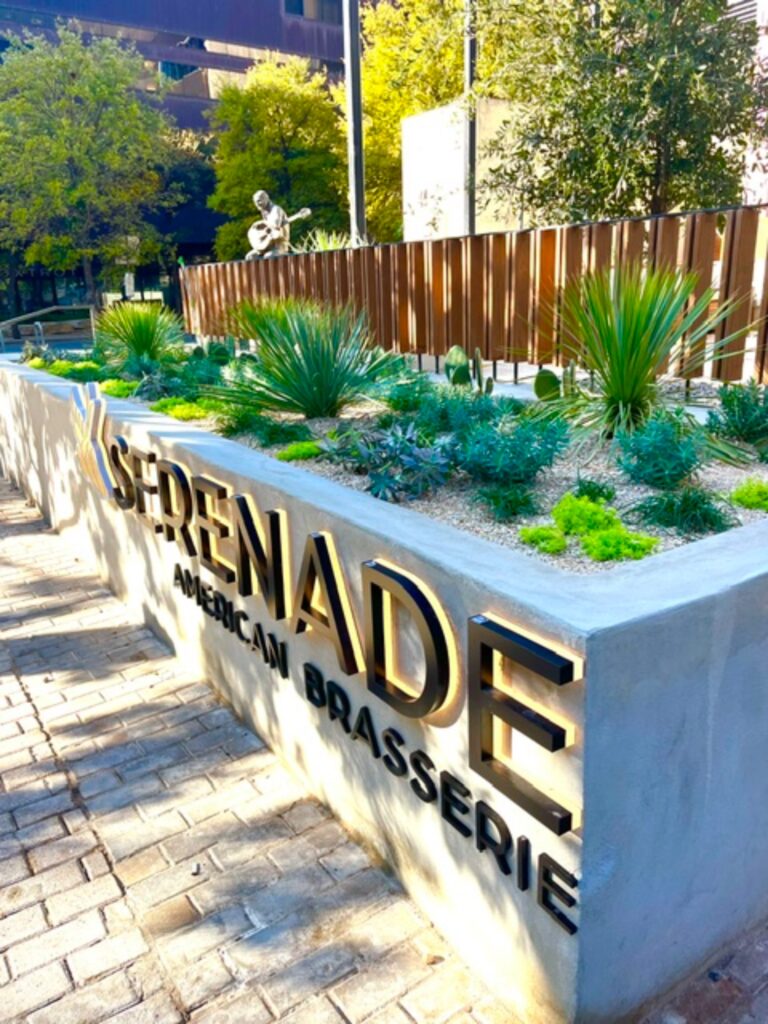 Serenade 768x1024
