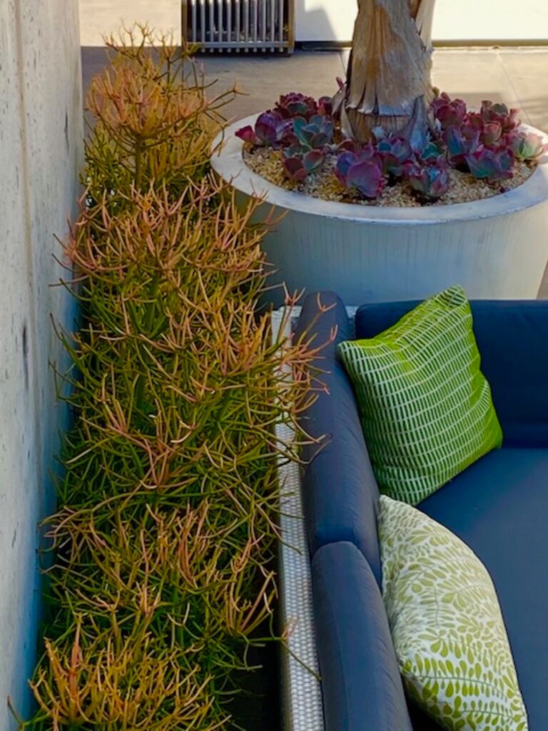 W Planter Detail 768x1024